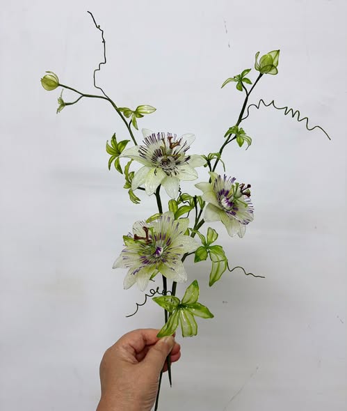 研習班(2)課程作品 01|時計草
