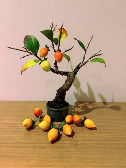 工藝盆栽作品 - 豆柿