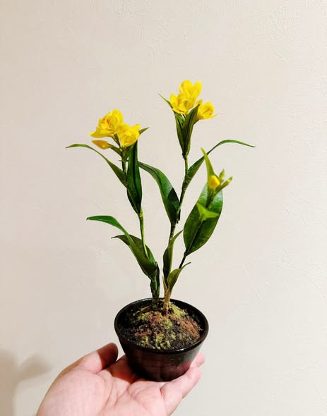 工藝盆栽作品 - 金蘭