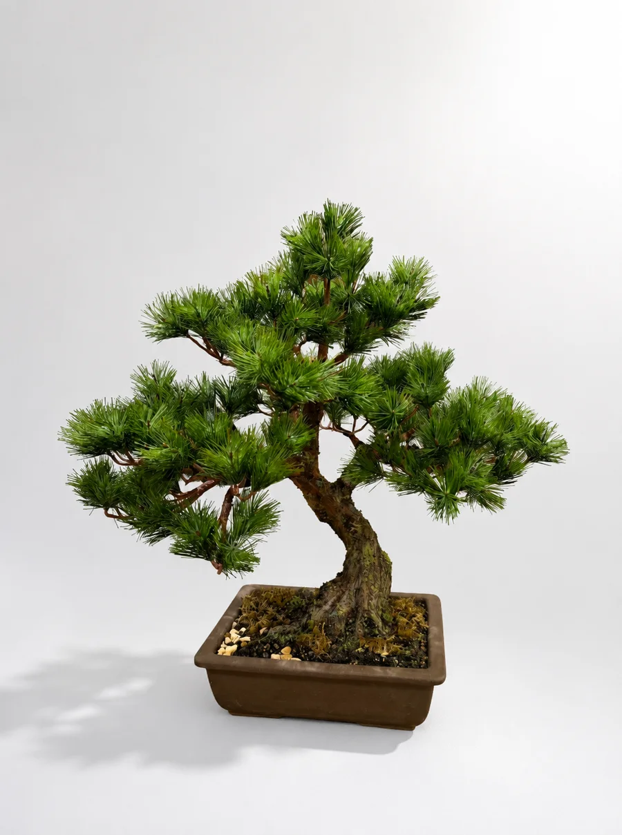 工藝盆栽松樹作品 Miyuki 日本水晶花藝