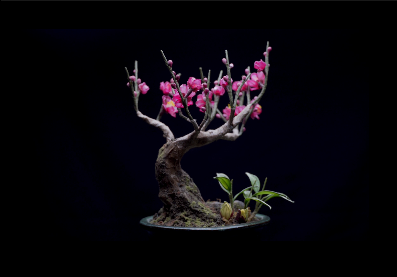 工藝盆栽作品 - 梅