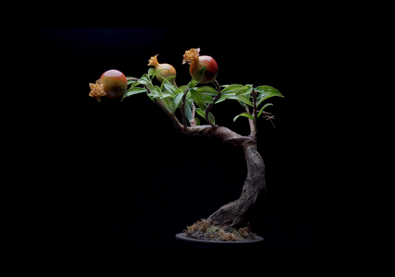 工藝盆栽作品 - 石榴