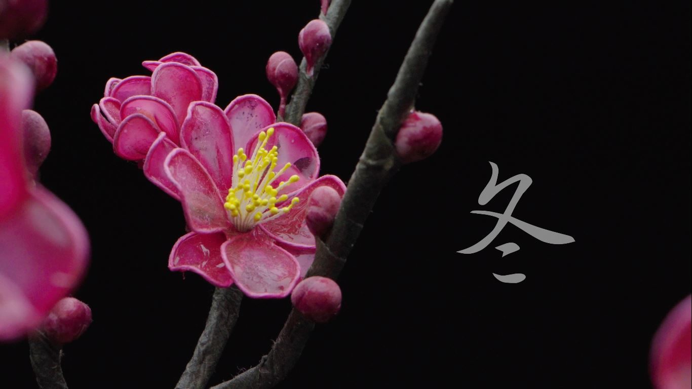 工藝盆栽作品 - 梅｜工藝盆栽藝術